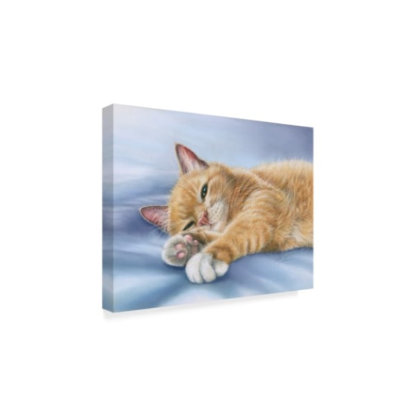 Janet Pidoux 'Jack Cat' Canvas Art,14x19